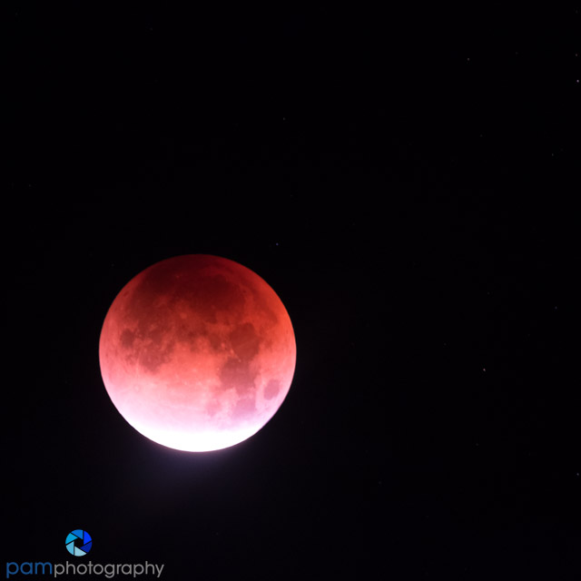 1801_PSA_Moon Eclipse_167-Edit